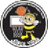 https://img.digutou.com/img/basketball/team/e416830f4083698237c559f8988ddb25.png