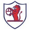 https://img.digutou.com/img/football/team/11fb72f7b5eacfc881ee11bac75871fa.png