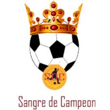 https://img.digutou.com/img/football/team/246f3dd7aad4d57daf7150f4e9f8ee34.png