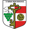 https://img.digutou.com/img/football/team/5b01c52c68b4b145d880a9e8326aec3b.png