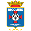 https://img.digutou.com/img/football/team/8238f942a61b9e7bcf2d39fc9d41cc24.png