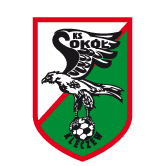 https://img.digutou.com/img/football/team/e6a8908dd206e2ea02d9803c82c60bba.png