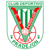 https://img.digutou.com/img/football/team/ef0c5944a508d19f4667a71bbb5b3358.png