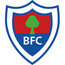 https://img.digutou.com/img/football/team/f4b90bde83ad84deda96bccf4b036a14.png